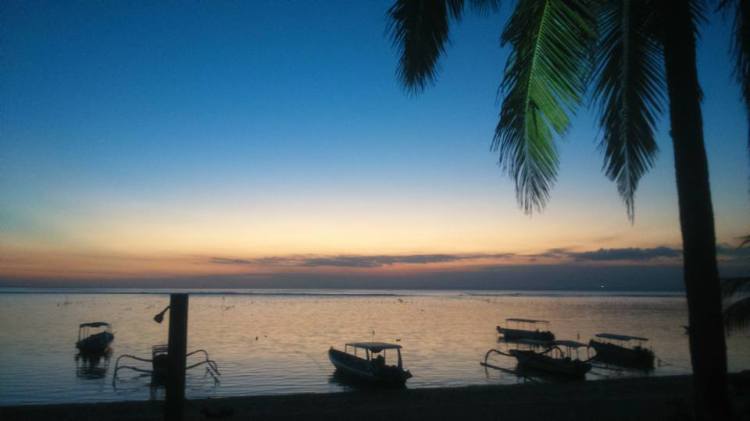 10989519_10206856465474642_1137972409485944900_n