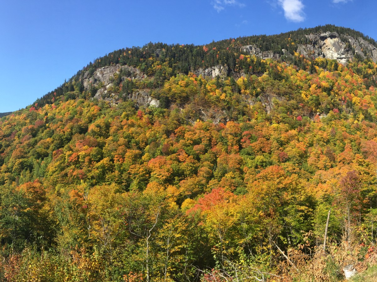 Live free or&nbsp;die