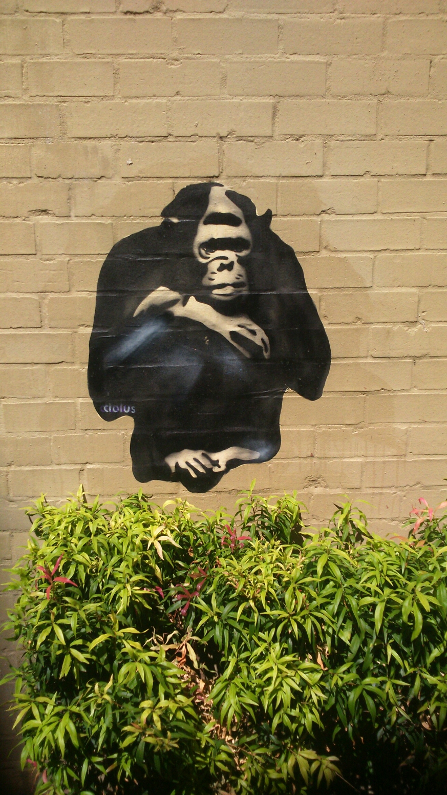 wp-1425908668381 image