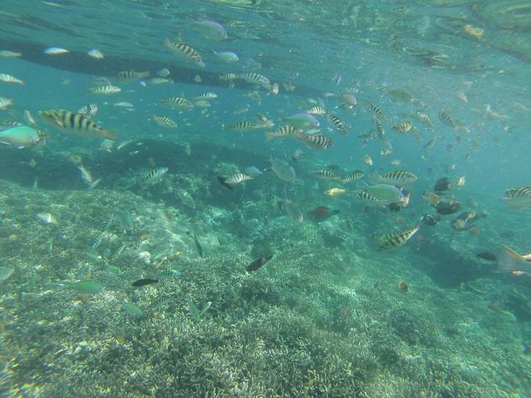 11139388_10206856467354689_6417384276267555023_n