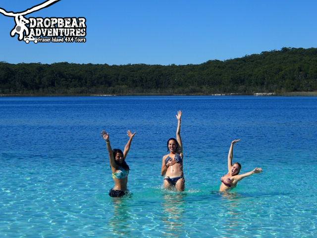 10985868_809758939109572_6343433584002674060_n