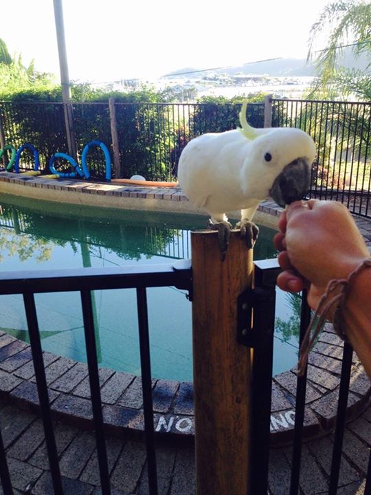 11206938_10206786795252930_4510809356818251387_n