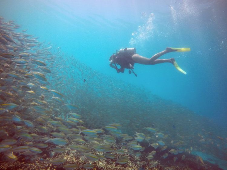 18596740_10212926656065613_536785118_o