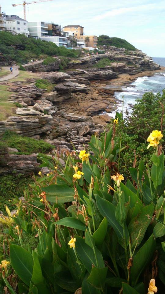 18582_677216912390488_1190598938247563983_n