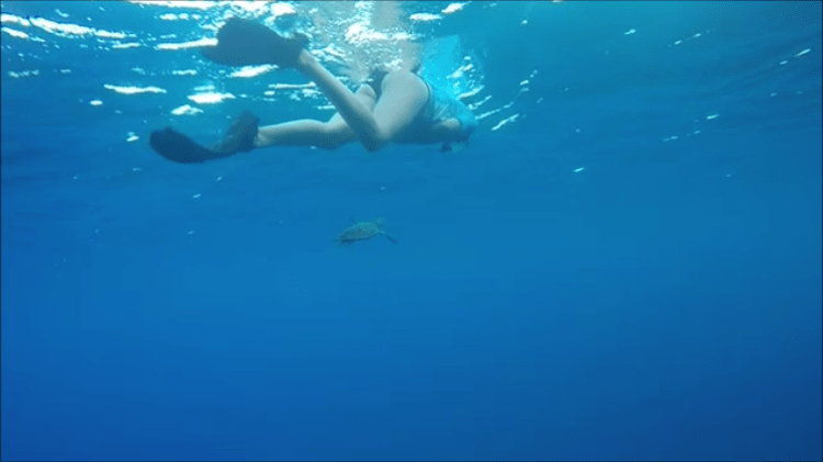 Snapshot 1 (21-4-2017 7-15 PM).png