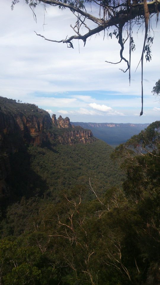 11094713_677223085723204_8767536116333350960_n