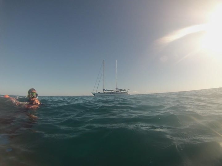 19586_10206786781812594_8770186375261017920_n