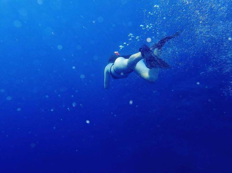 received_1464854020252779_2