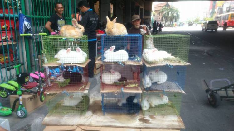 11391281_10206954680529957_3845276626253078312_n