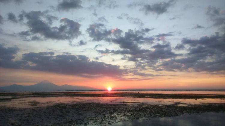 11137151_10206954682009994_5675230706330683846_n