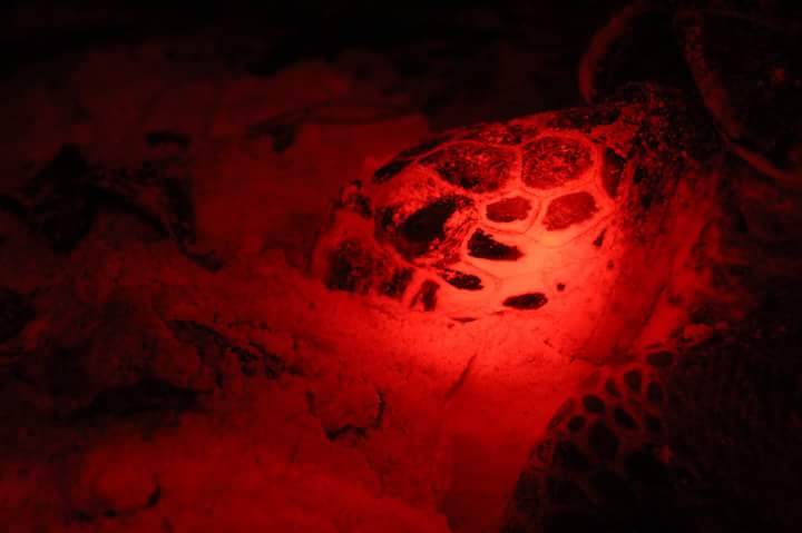 FB_IMG_1491197990417