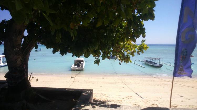 11329959_10206856464834626_6334188690502874141_n