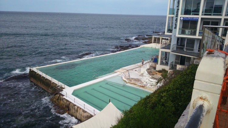 11031130_677222249056621_6774501185761992683_n