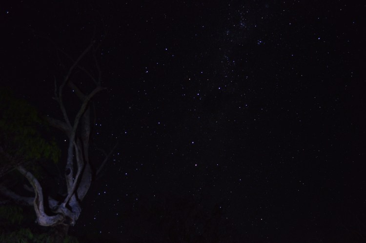 The night sky in Margaret River.