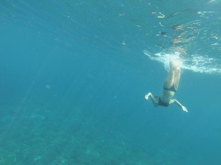 11110876_10206856470394765_950334915408008659_n