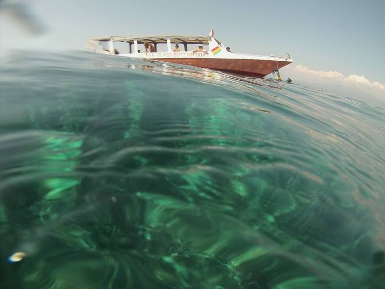 11265227_10206856470554769_3531914391740168583_n