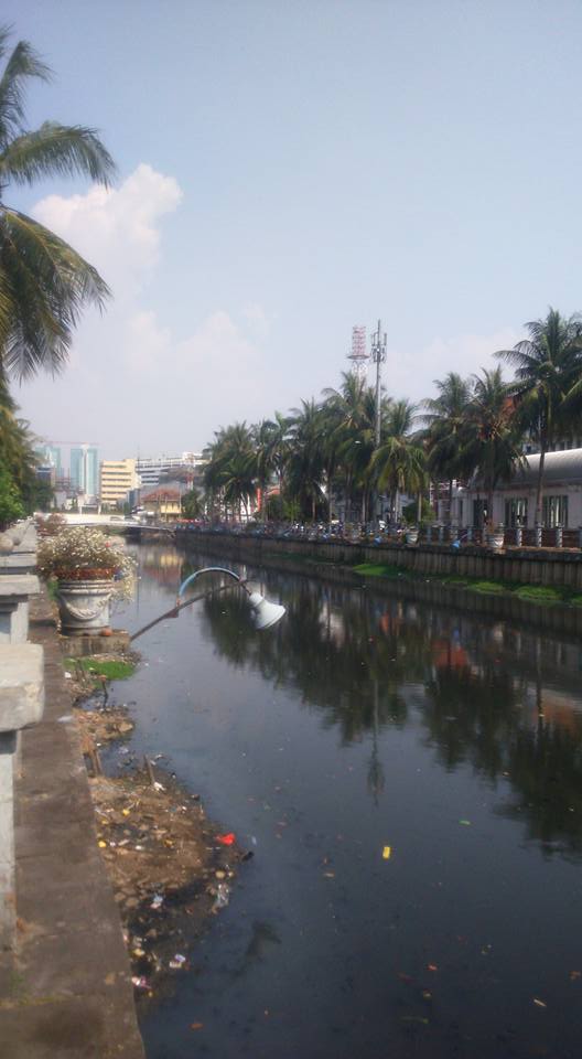 10489662_10206954679529932_5129687030814495420_n